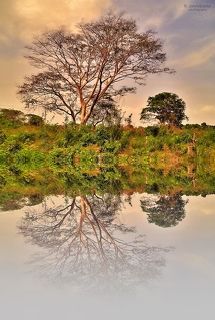 Reflections