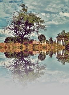 Reflections
