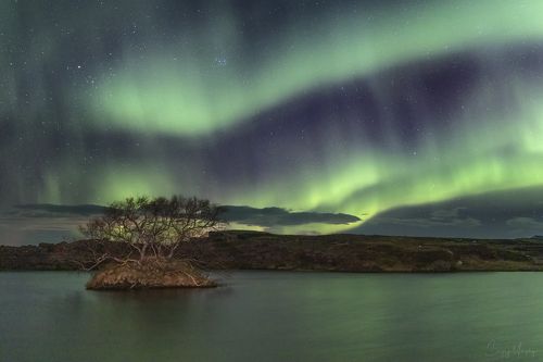 Green water of Myvatn lake. Iceland.