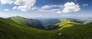 Зеленая