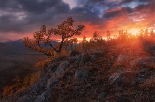 Пожар осеннего заката ..