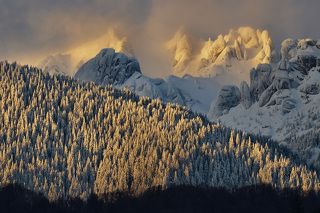 Winter 2017