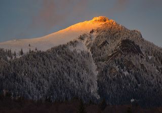 Winter 2017