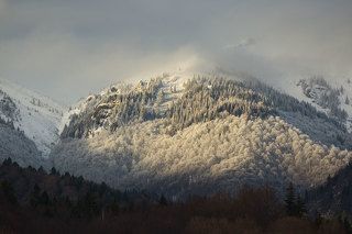 Winter 2017