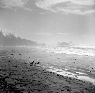 ocean