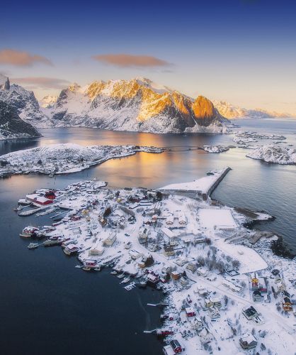 Reine