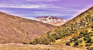 In The Mountains