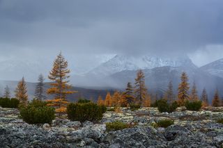 Так на Джеке приходит зима...