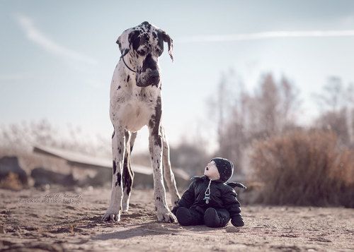 Когда не только деревья были большими ...