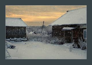 Гоголь. о. Куростров. декабрь. 2018