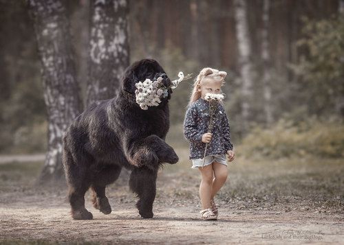 bouquet of flowers