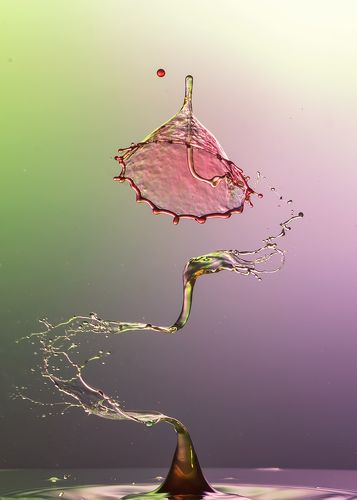 S drop