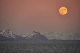 With a view of the Lofoten Islands