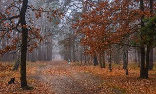 осенними дорогами
