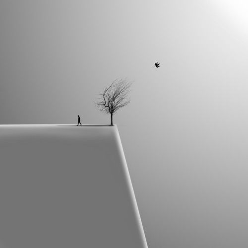 Renewal