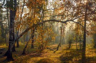 золотая осень