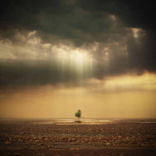 Hope...