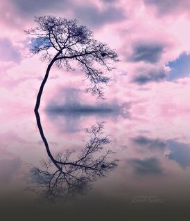 Reflections