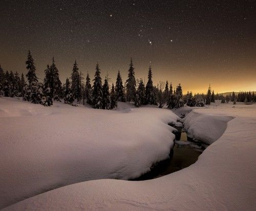 Frozen silent..