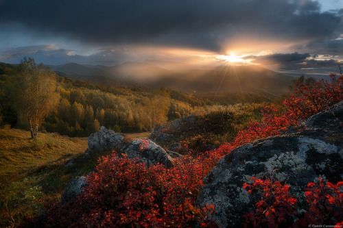 Осень