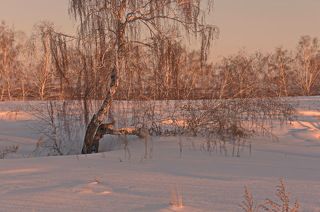 На закате.
