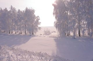 Мороз и солнце,день чудесный!