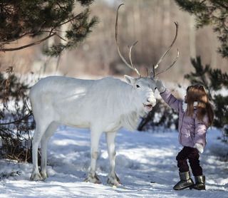 Волшебное знакомство
