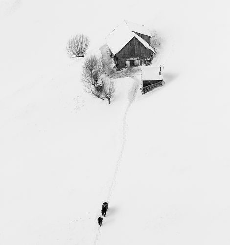 Winter Story