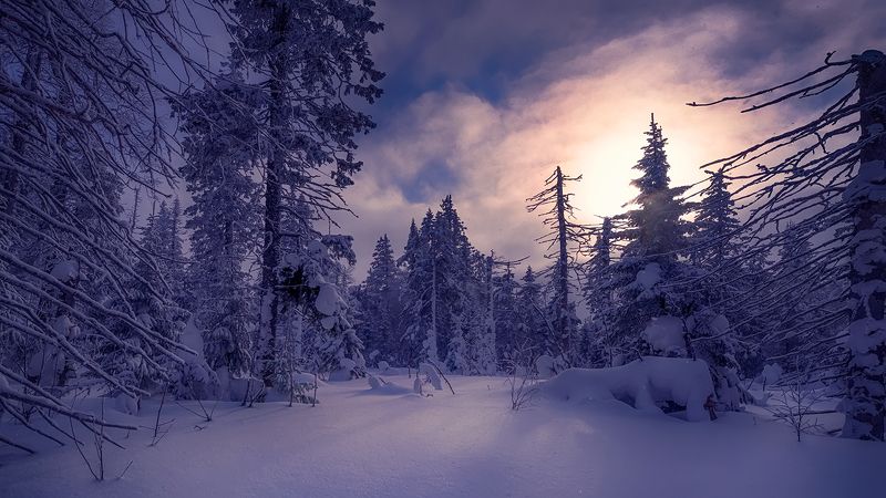 Зимняя сказка горы Белой