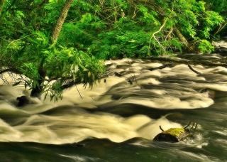 Flow The Water