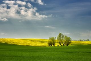 Spring is coming
