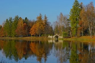 Краски осени