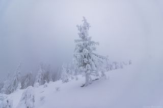 Одежды по сезону