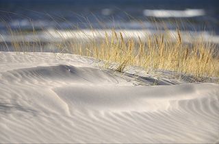 On the dune