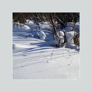 тени. март