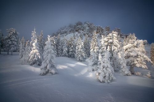 Откликной гребень