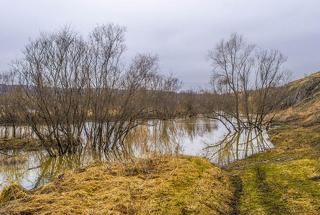 Вдоль береговой скалы.(2600)