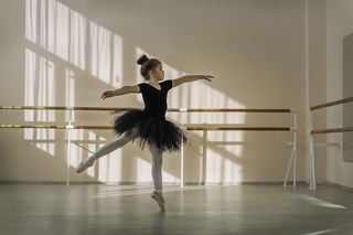 Маленький Чёрный лебедь - Small black swan