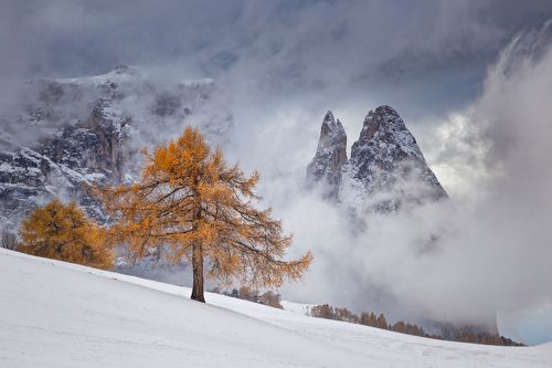Between Seasons