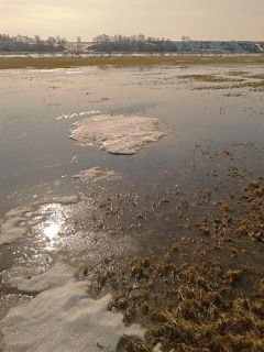 Пейзаж апреля.(2)