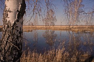 Весна.(1)
