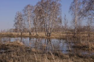Весна.(3)