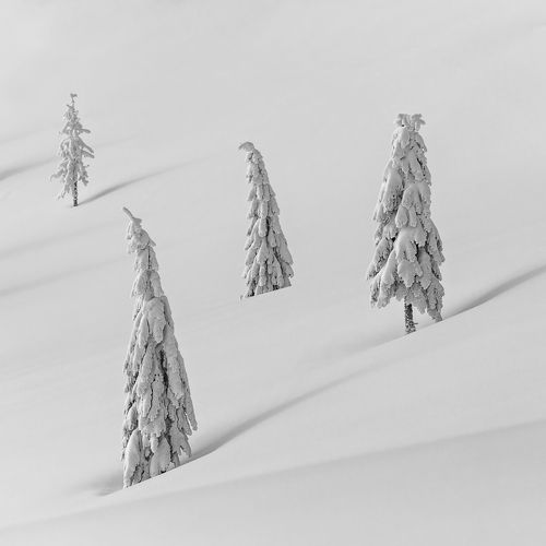 Four Aces