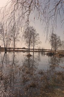 Весенний этюд.(1)