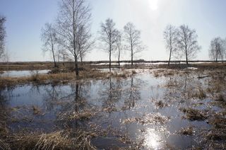 Весенний этюд.(2)
