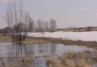 Апрельский снег.