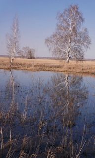 Отражение.(1)