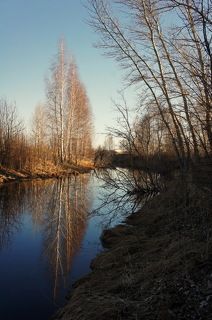 Отражение.(2)