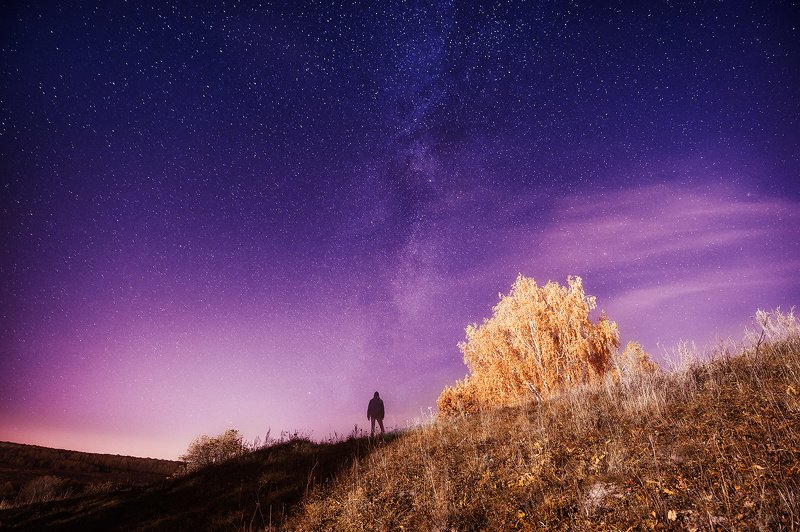 Dreams foto