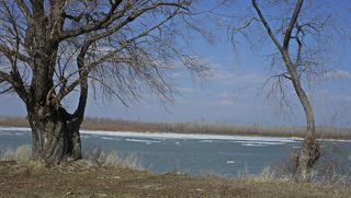 Ледоход.(1)